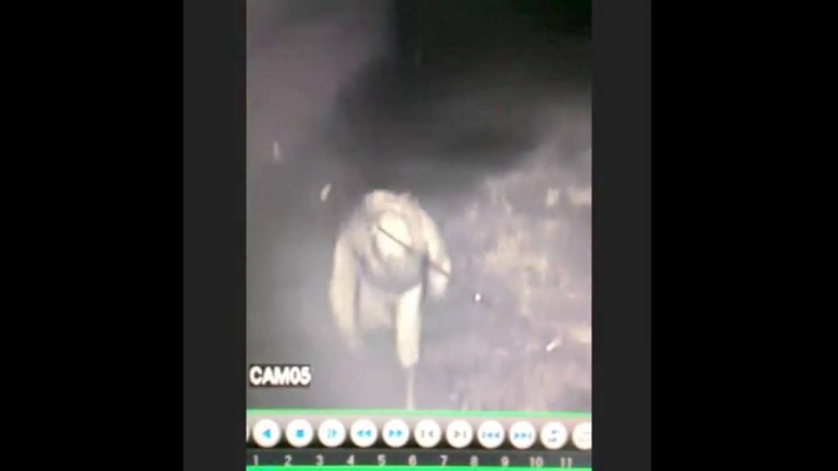 Câmera de lanchonete flagra ladrão que não tem uma das mãos furtando botijão de gás em Naviraí