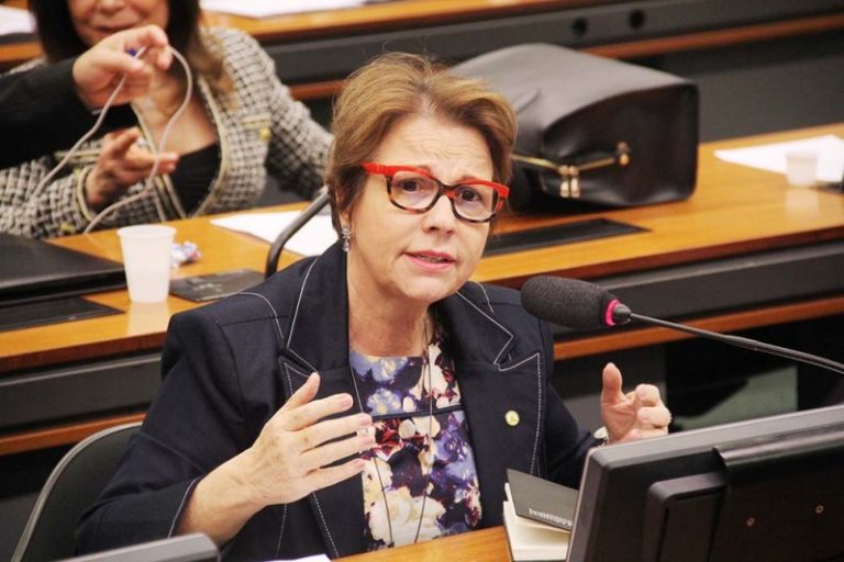 Projeto autoriza aproveitamento de pastagem de reserva legal e pode prevenir incêndios
