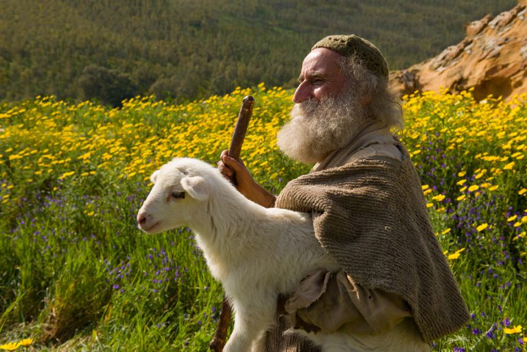 A Ovelha Perdida – O Bom Pastor procura trazê-la ao Aprisco
