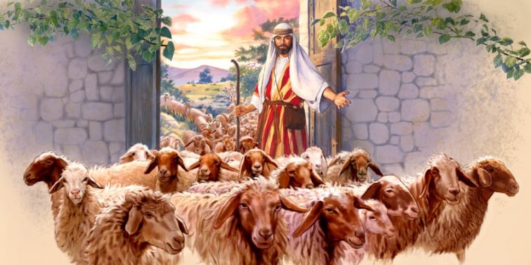 Ele cuida de milhares de ovelhas – Jesus é o bom pastor