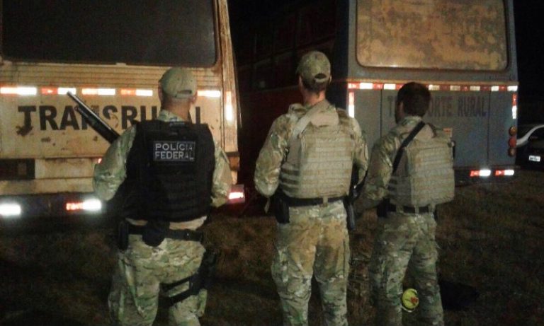 Polícia Federal de Naviraí apreende 500 caixas de cigarros