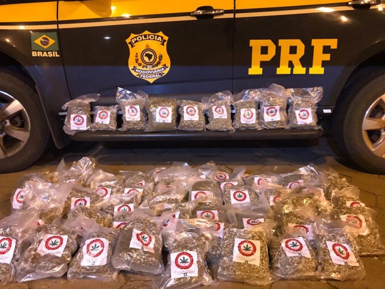 PRF apreende 3,8 toneladas de maconha e 23 kg de skank em carreta carregada de aveia em MS