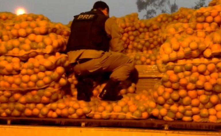 Carga de maconha que saiu de Itaquiraí é aprendida no Paraná