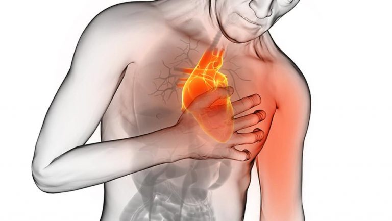 No Brasil, há uma morte por doença cardiovascular a cada 40 segundos