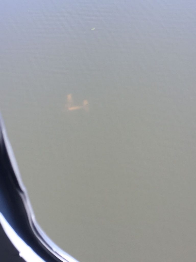 Piloto de avião interceptado pela FAB no Pantanal de MS é procurado