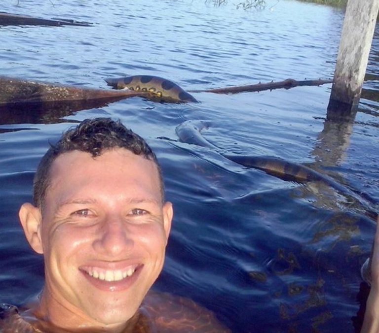 Pescador flagra cobra anaconda gigante na floresta amazônica; veja vídeo