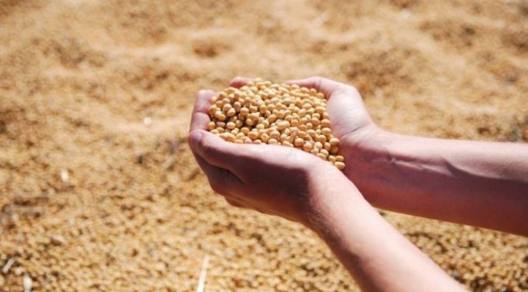 Paraguai garante 5ª maior produção de soja do mundo