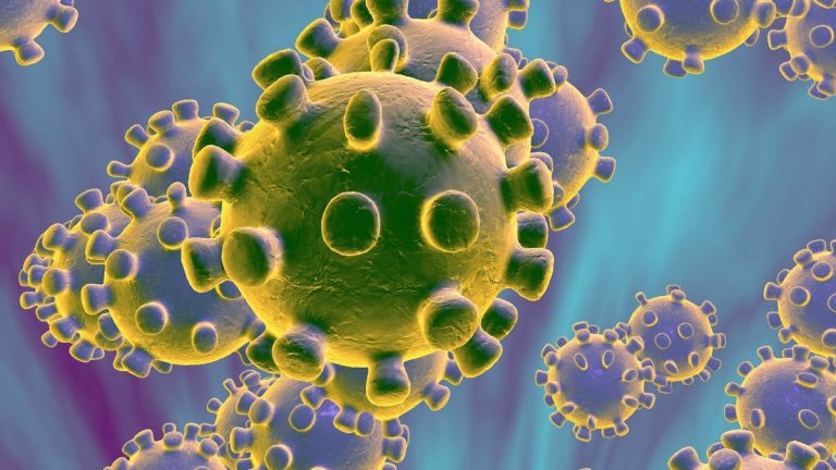 CONSELHO MÉDIDO SOBRE O CORONAVIRUS