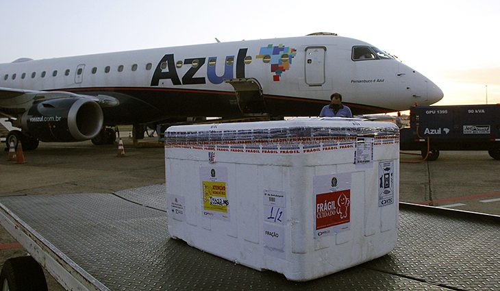 Oitava remessa de vacina com 54,6 mil doses chega nesta quarta-feira a Mato Grosso do Sul