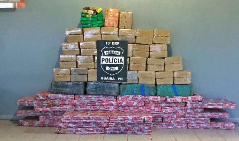 Polícia Civil de Guaíra apreende mais de uma tonelada de maconha em uma semana