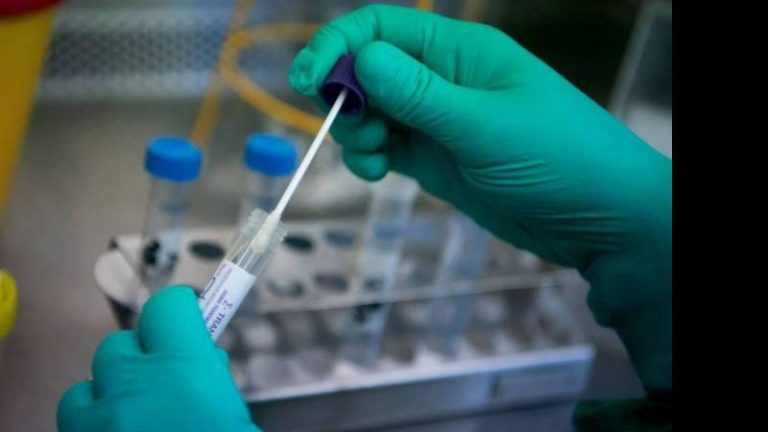 Brasil registra 3.774 mortes em 24h e supera marca de 365 mil vítimas por covid