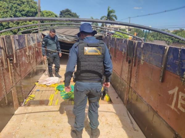 Polícia prende traficante transportando 744 quilos de maconha em carreta no município de Naviraí