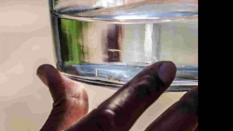 Com alta incidência, MS confirma mais duas mortes e 370 casos novos de dengue em uma semana
