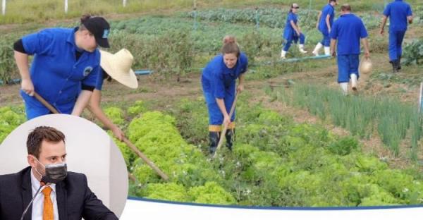 Ricck propõe a criação de Escola Ténica Agrícola em Naviraí