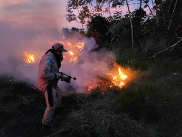 Corpo de Bombeiros realiza ação de combate à incêndio no Alta Mata, no município de Naviraí