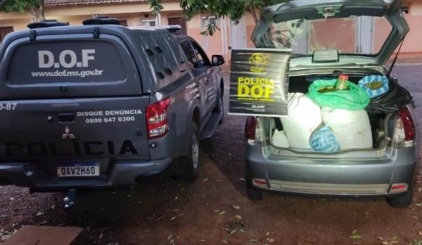 Em Itaquiraí DOF apreende mais de 30 quilos de skank em veículo