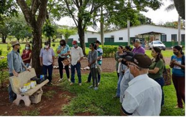 Agricultores familiares de Iguatemi e Itaquiraí são capacitados por pesquisadores da Embrapa