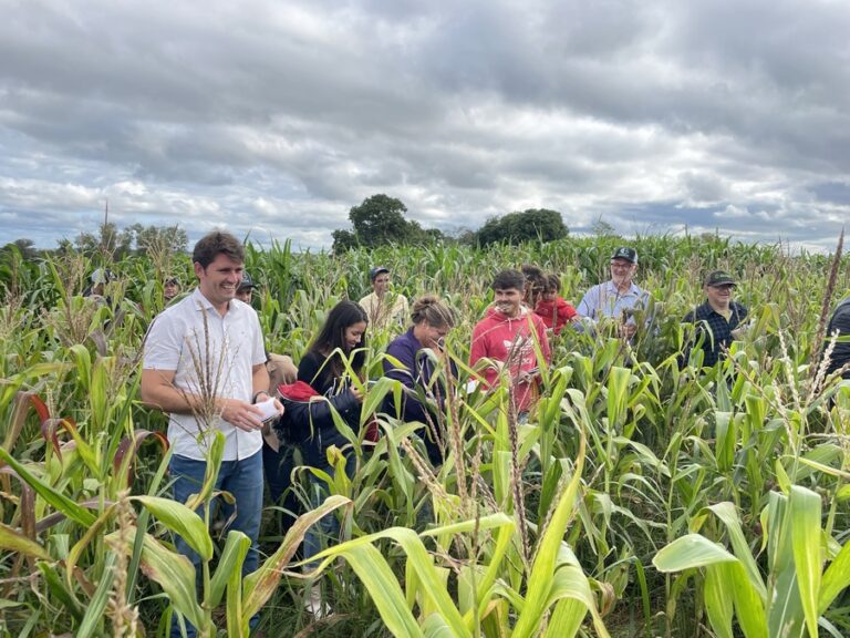Dia de Campo levou conhecimento a produtores familiares de Itaquiraí
