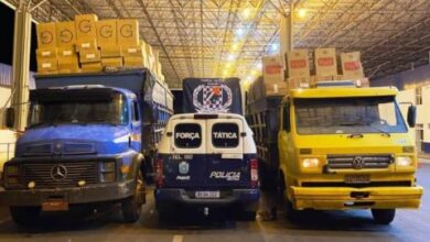 Photo of Força Tática apreende em Mundo Novo dois caminhões carregados com 1.100 caixas de cigarros paraguaios