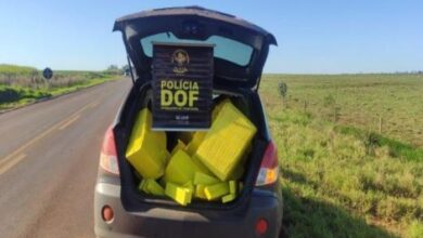 Photo of DOF apreende mais de 600 kg de drogas que seriam entregues em Naviraí