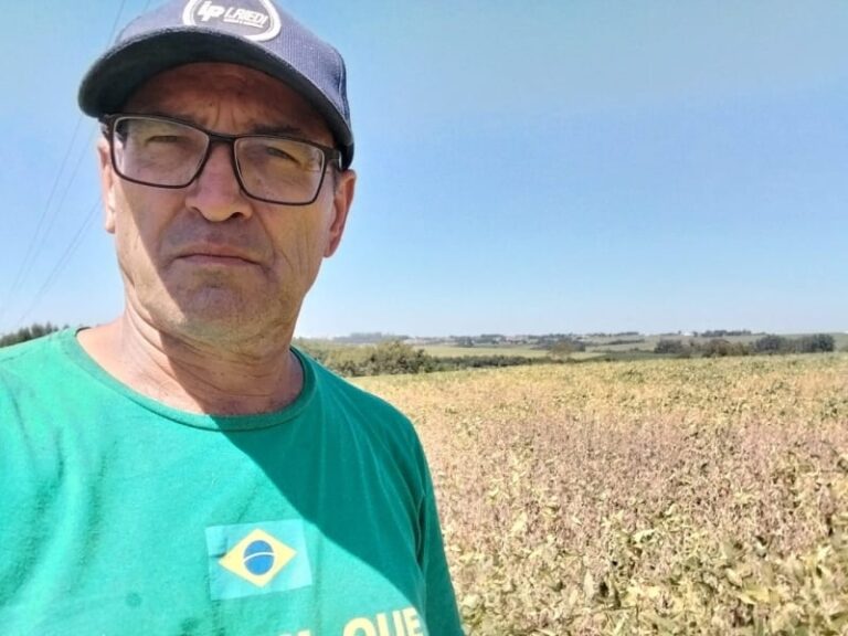 Colheita da soja em Palotina