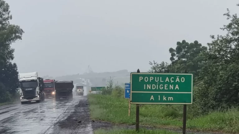 Gigantes da cana em MS tem maior sobreposição de terras indígenas do Brasil