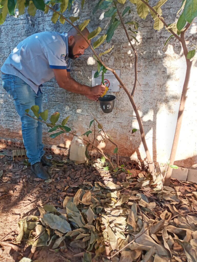 SAÚDE DE ITAQUIRAÍ MANTÉM ‘PROJETO OVITRAMPAS’ NO COMBATE À DENGUE