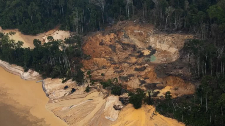 Mais oito corpos são encontrados em comunidade Yanomami em Roraima