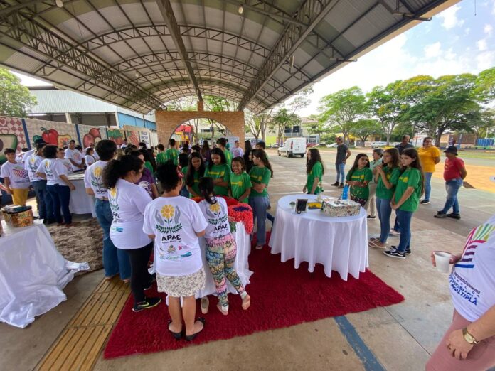 APAE de Mundo Novo realiza Exposição de Arte na Praça Oscar Zandavalli