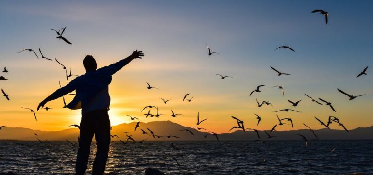 VIVER EM LIBERDADE