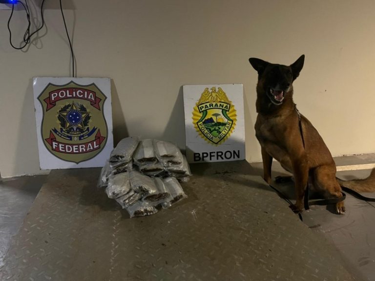 Polícia Federal e BPFRON localizam droga escondida em painel de carro em Guaíra