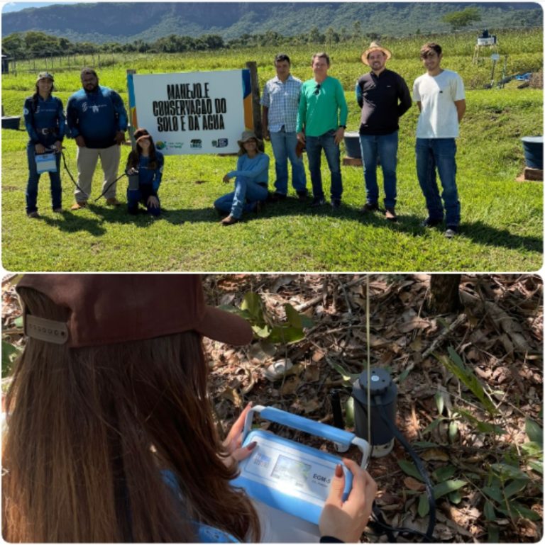 UEMS de Mundo Novo intensifica estudos sobre fluxo de CO₂ e consolida MS como referência em agricultura de baixo carbono