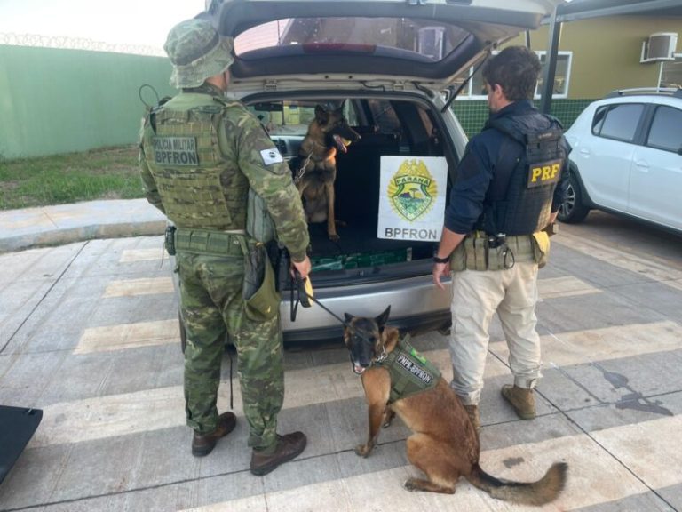 BPFron e PRF interceptam veículo com mais de 105 kg de maconha escondidos