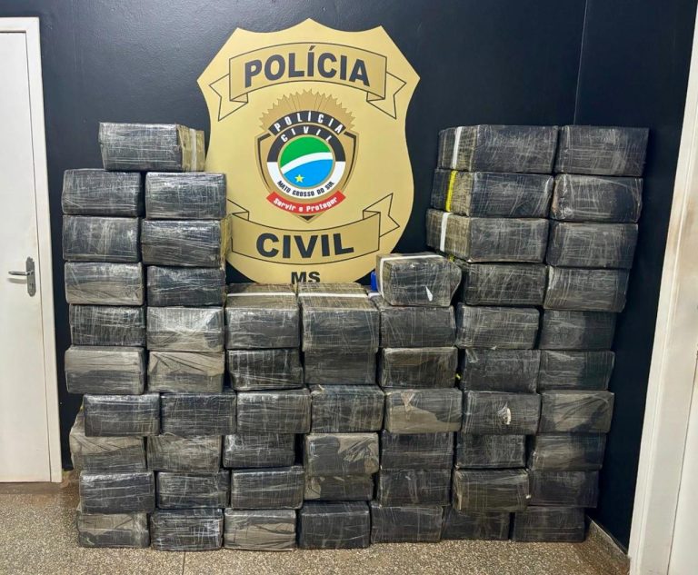 Polícia Civil apreende mais de 1,2 tonelada de maconha e recupera caminhonete furtada