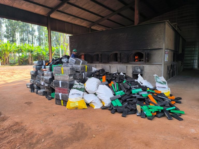 Polícia Civil incinera mais de quatro toneladas de drogas em Mundo Novo
