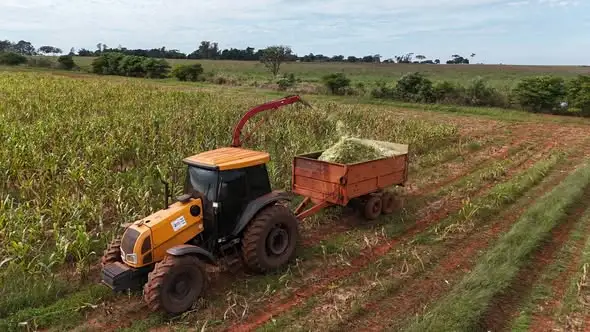 Prefeitura de Itaquiraí auxilia na produção de silagem