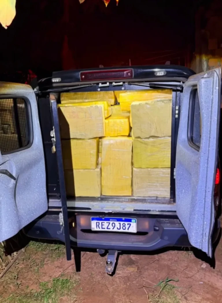 Polícia Civil de Mundo Novo apreende mais de 1 tonelada de maconha em ação contra o tráfico