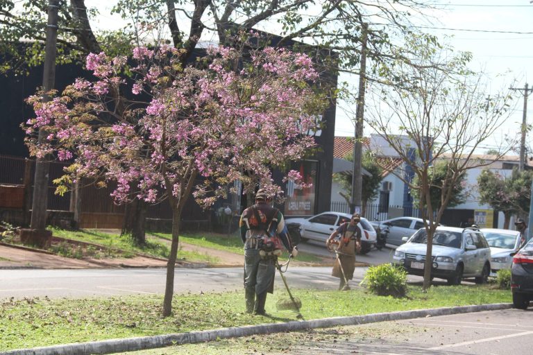 Meio Ambiente realiza manutenção com serviços de roçada na Avenida Brasil (Avenida JK)