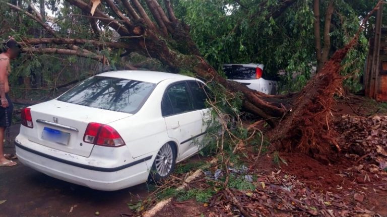Temporal derruba árvores sobre carros, quebra postes e deixa estragos em Guaíra